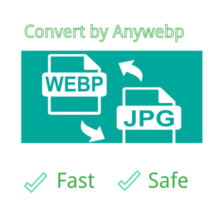 Anywebp Vs. Photoshop: Which Is Better Webp to JPG Converter?